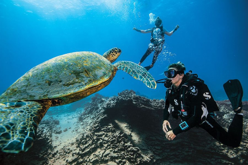 11 Best Places to Scuba Dive in the U.S. - SCUBAPRO