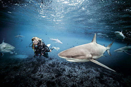 woman scuba diving with a shark