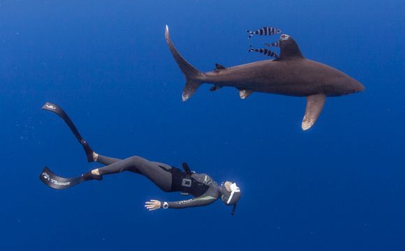 Julie Andersen with shark