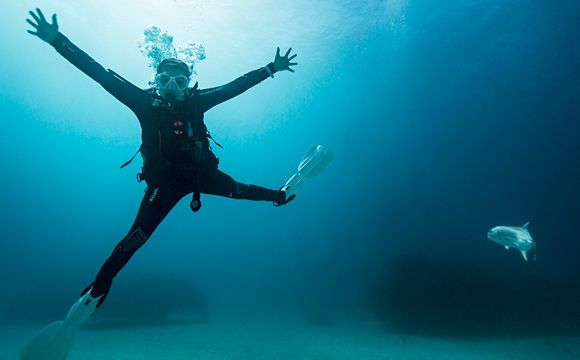 Stephanie Arne scuba diving