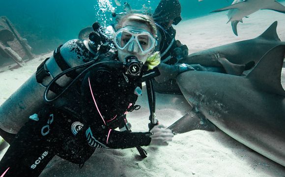 Stephanie Arne scuba diving near shark