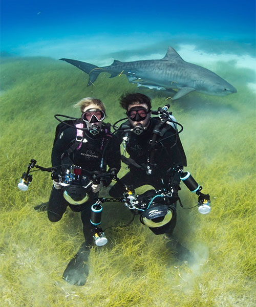 global dive team members deano and erin cook with a shark