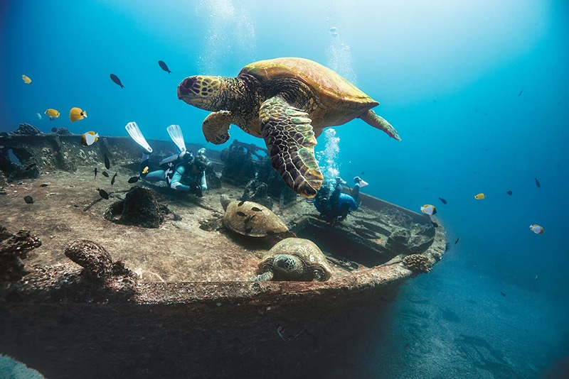 Scuba Diving in Hawaii: Best Dive Sites & More - SCUBAPRO