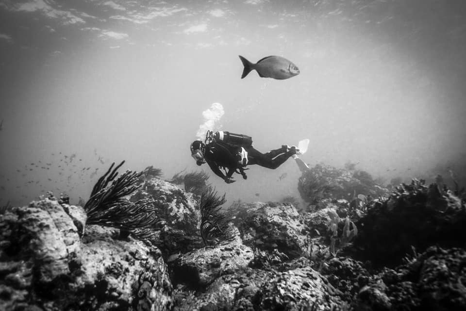 Jerome Delafosse diving