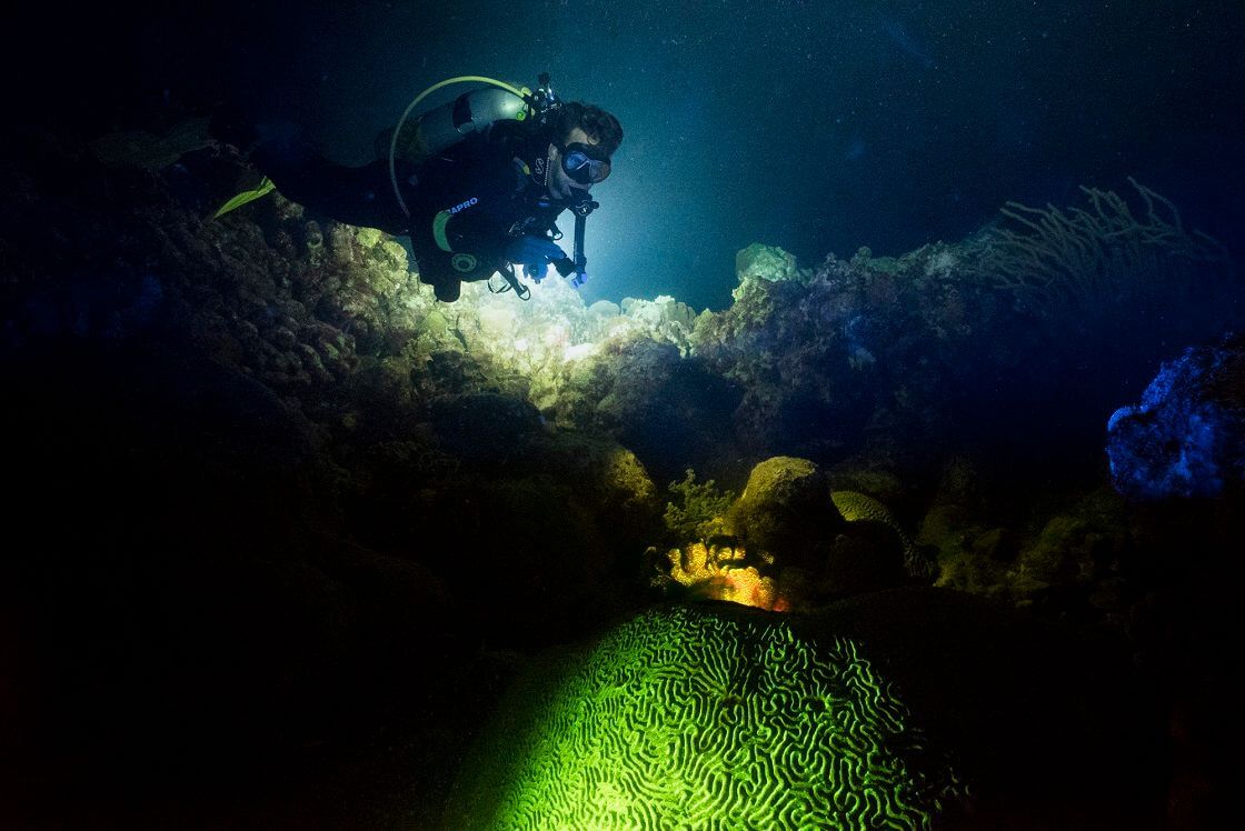 Tips to Improve Your Night Diving - Scubapro us
