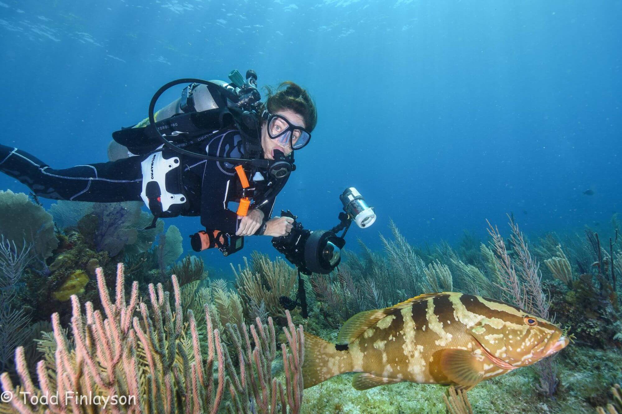 Diving in Cuba SCUBAPRO