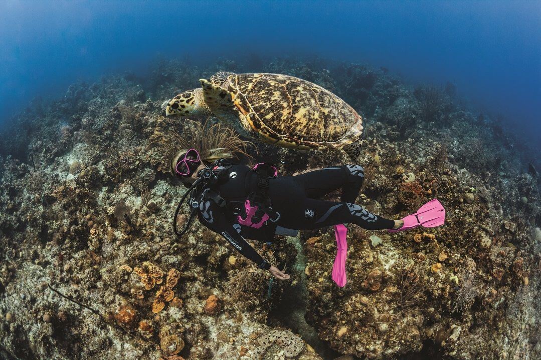 Woman BCD Diving with a turtle