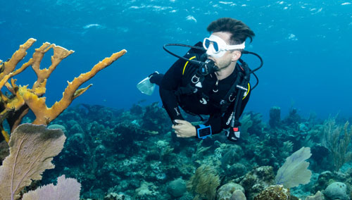 Underwater diver looking at coral