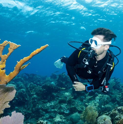 Underwater diver swimming by coral