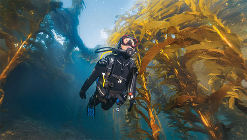 Underwater diver using front adjustable BCDs