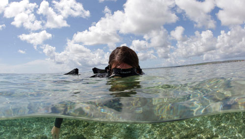 Above water view of a person snorkeling