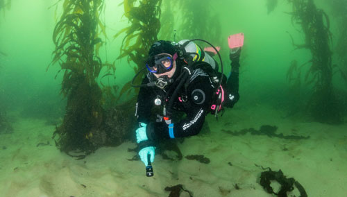 Diver underwater wearing a SCUBAPRO Definition Dry HD Drysuit