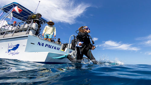 Diver jumping from a boat into the ocean