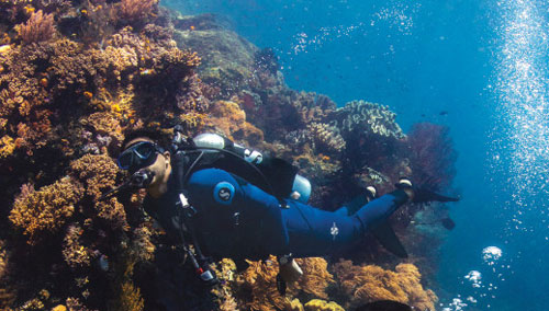 Diver underwater swimming by a coral reef