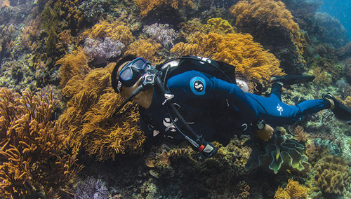 Underwater diver wearing SCUBAPRO Men's Everflex 1.5mm Pants