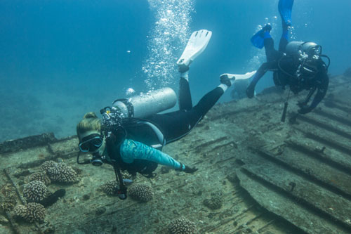 Two divers underwater exploring the ocean floor