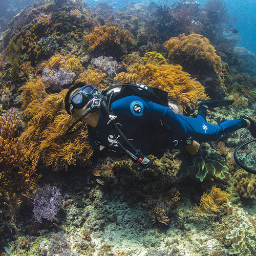 Man diving underwater wearing SCUBAPRO Everflex 1.5mm Long Sleeve Top