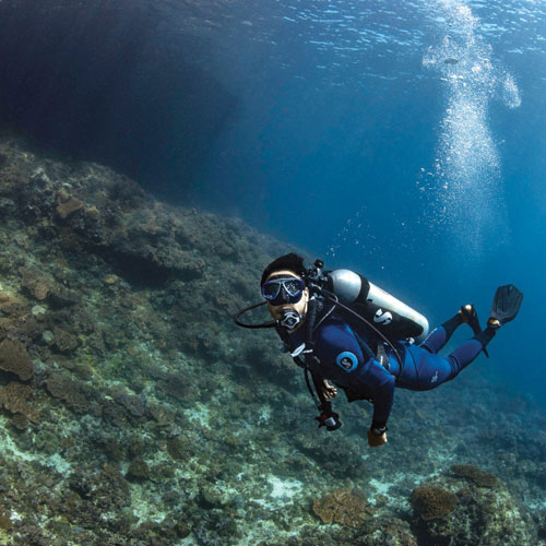 Diver underwater exploring the ocean floor