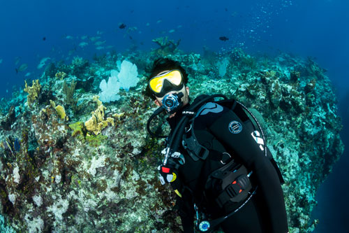 Underwater diver wearing the SCUBAPRO Everflex YULEX Men's Steamer