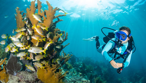 Diver underwater using the SCUBAPRO MK17 EVO2 / C370 Dive Regulator System