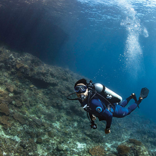 Underwater diver exploring