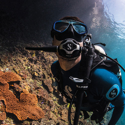 Underwater diver looking at sea life