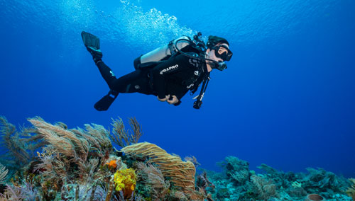 Underwater diver swimming over coral