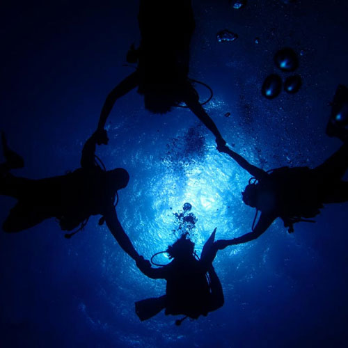 Four divers underwater holding hands in a circle