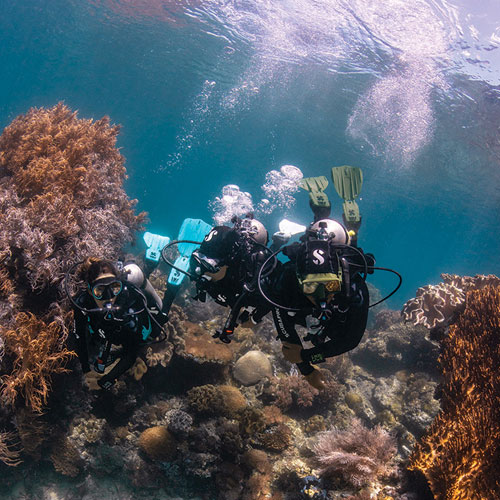 Divers in SCUBAPRO gear exploring coral reefs