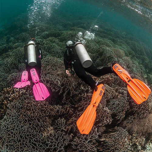 Two divers underwater wearing Seawing Nova Gorilla Fins