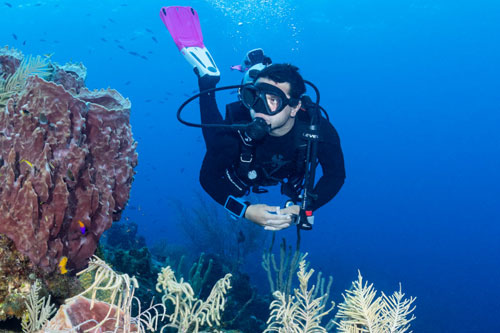 Underwater diver in SCUBAPRO gear looking at coral