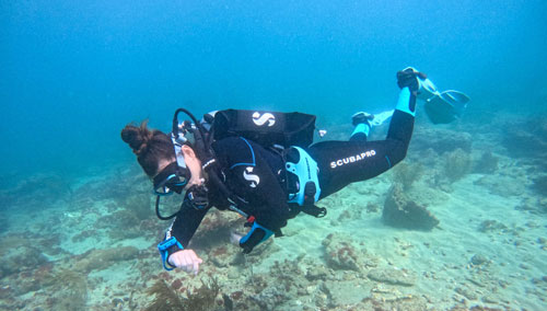 Woman diver wearing SCUBAPRO gear exploring the ocean floor