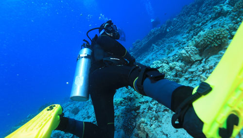 Close up of a diver wearing the Sport men's 5mm Steamer	