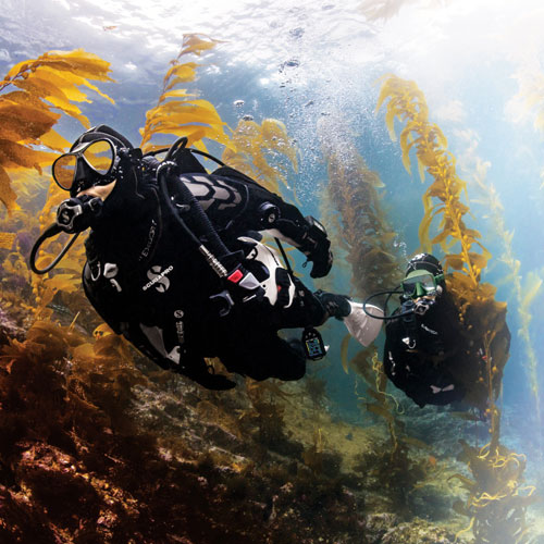 Two divers underwater in SCUBAPRO Exodry drysuits