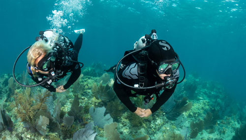 Two divers in SCUBAPRO gear swimming over the ocean floor