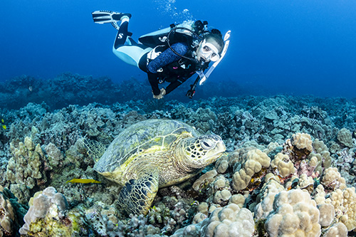 Unique design allows you to change out the lenses with no need for tools