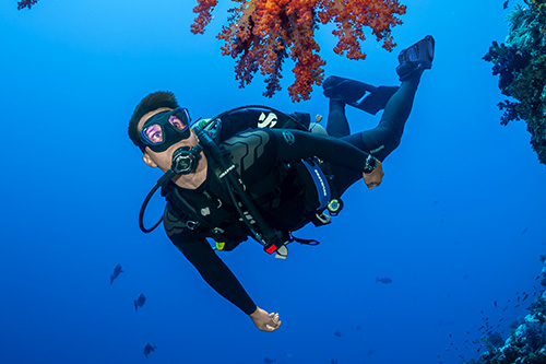 Hydros Pro 2 - customizable and interchangeable