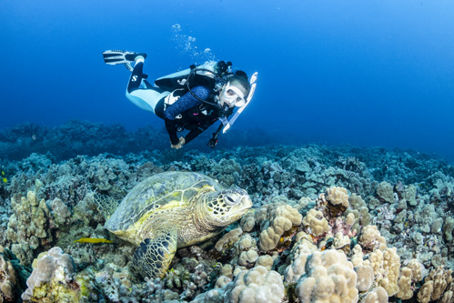 85% recycled plastic and 15% elastane