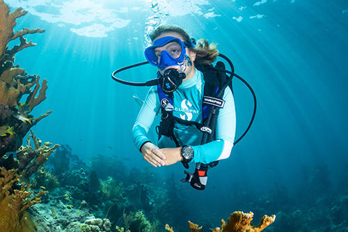 once every two years–or every 300 dives