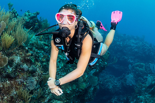 straightforward dive computer