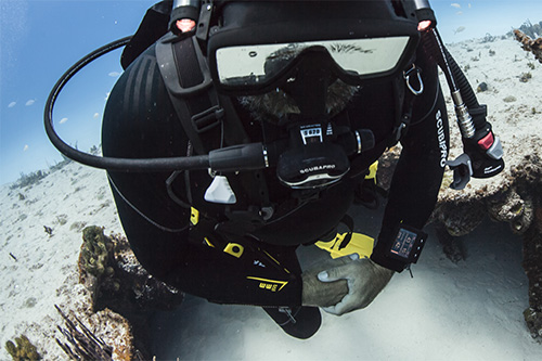  G2 is air integrated