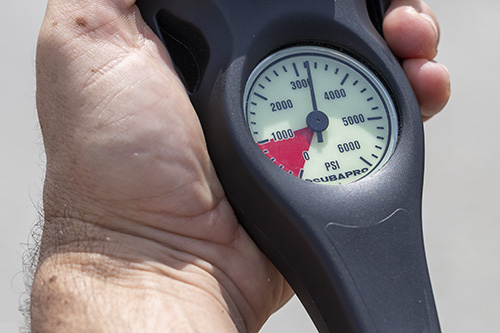 Resistant to saltwater