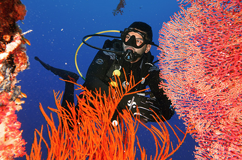 One continuous lens makes for uninterrupted viewing of the underwater world