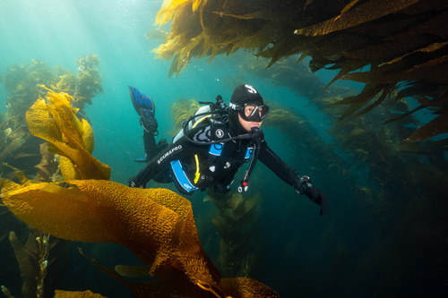 Everflex Gloves focus on green materials