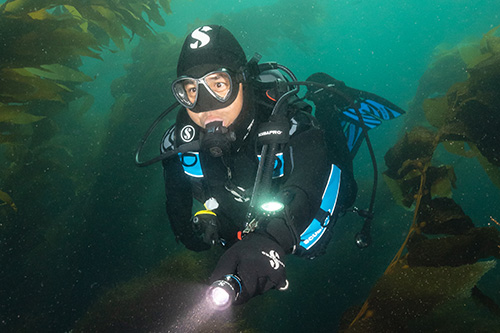 Everflex Gloves soft neoprene has plenty of give