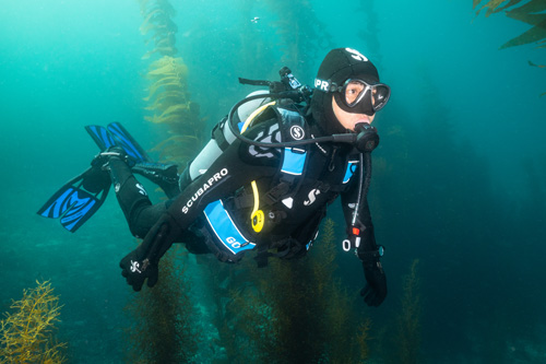 Everflex Gloves feature wrist seal and 5 mm neoprene