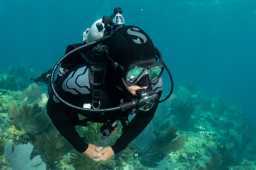 Hood has been designed to trap your body heat in