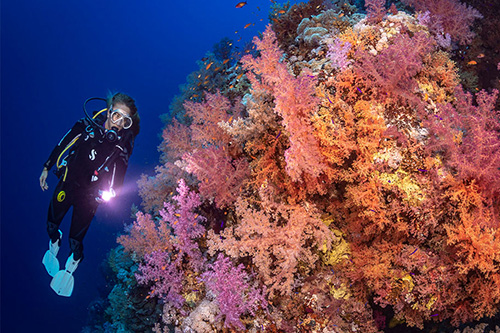 Designed to deliver the maximum field of view