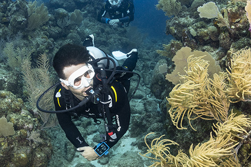 Perfect choice for both freedivers and scuba divers