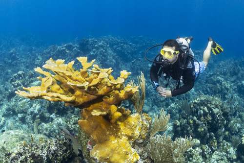 Ultimate clarity underwater